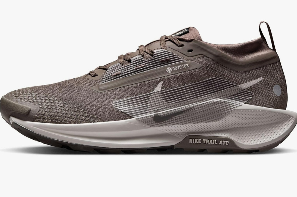 Nike Mens Pegasus Trail 5 Gore-TEX Ironstone/Grey/Velvet Brown 10.5 Medium